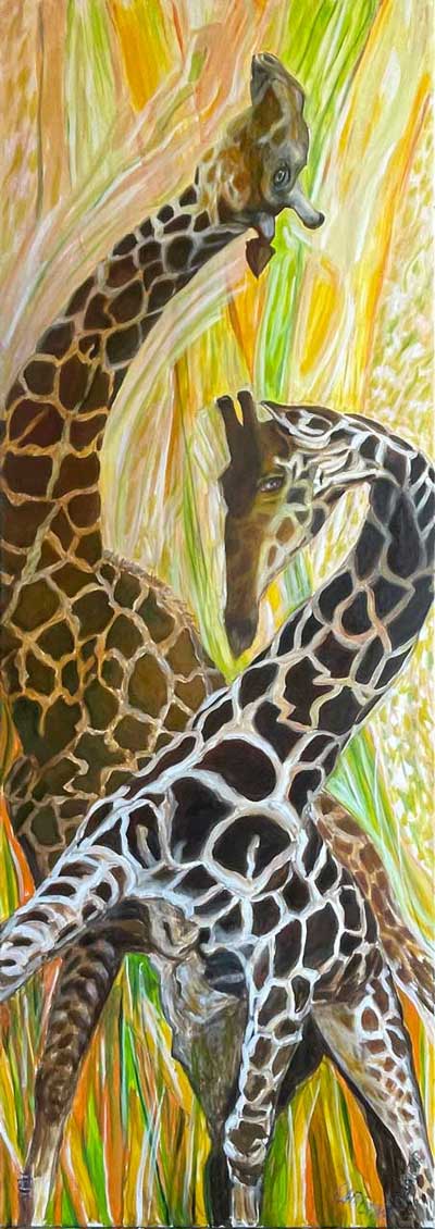 Kämpfende Giraffen